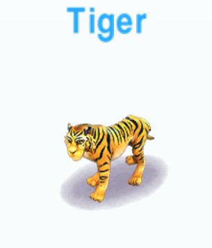 Tiger             